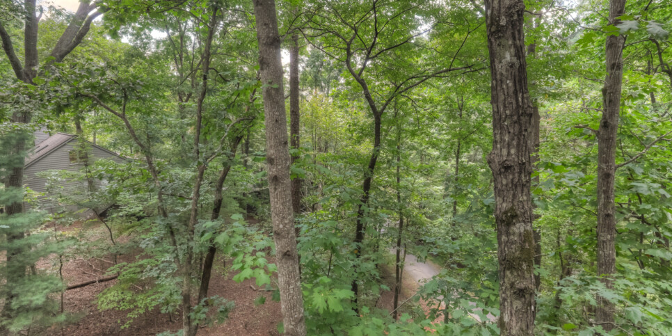 Big Canoe Reel Bliss Cabin Exterior