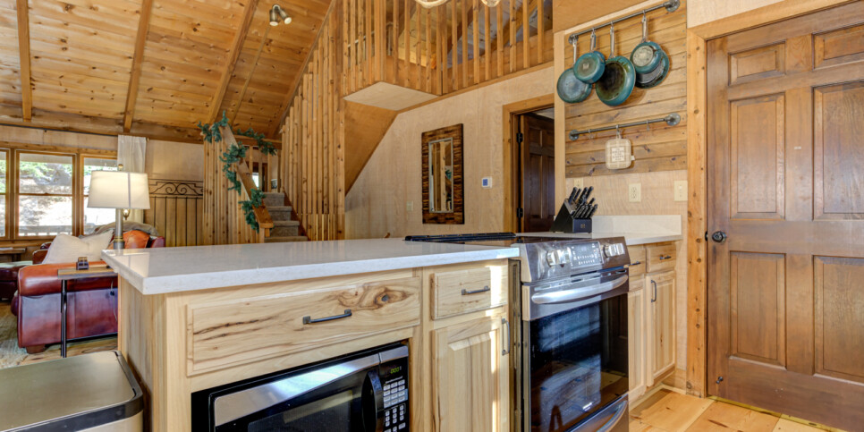 Big Canoe Reel Bliss Cabin Kitchen