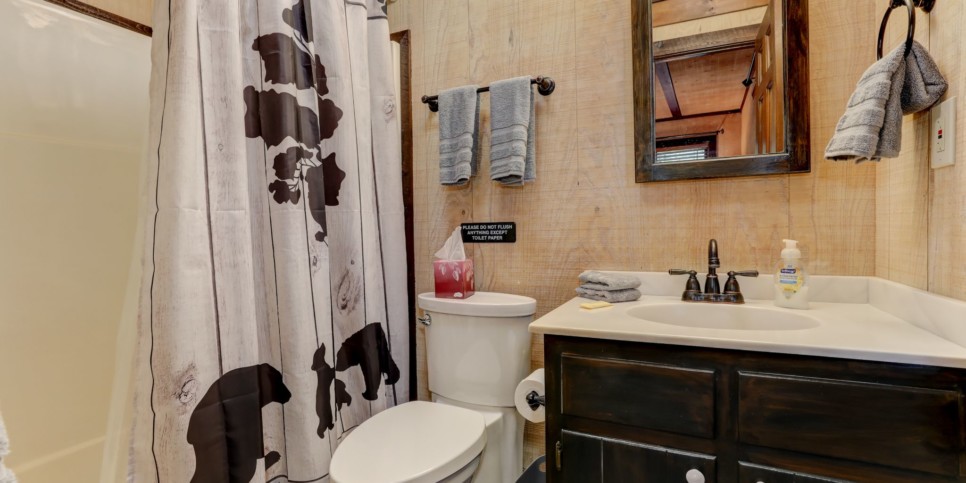 Big Canoe - Reel Bliss Cabin - Bathroom