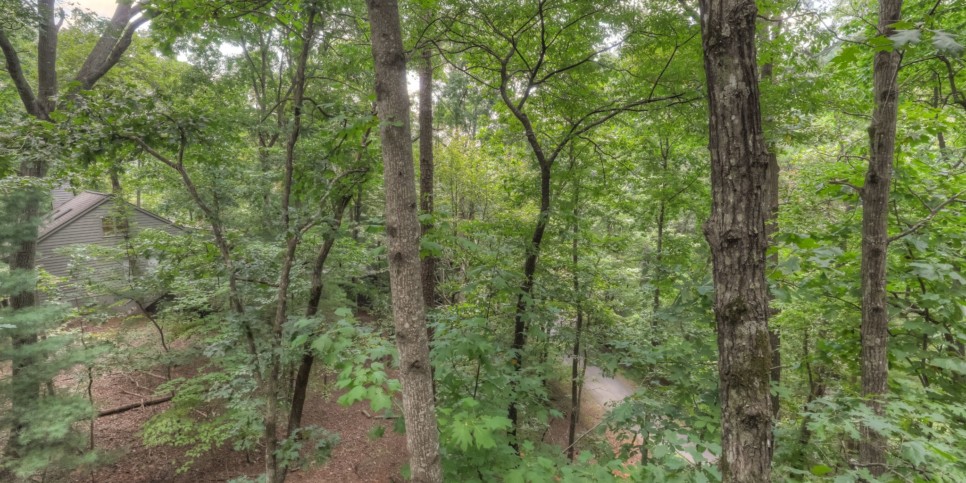 Big Canoe - Reel Bliss Cabin - Exterior