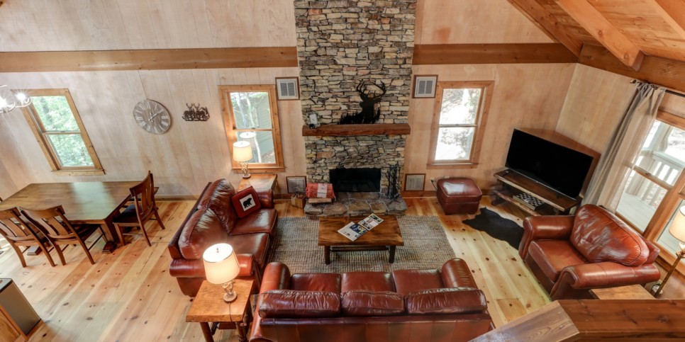Big Canoe - Reel Bliss Cabin - Living