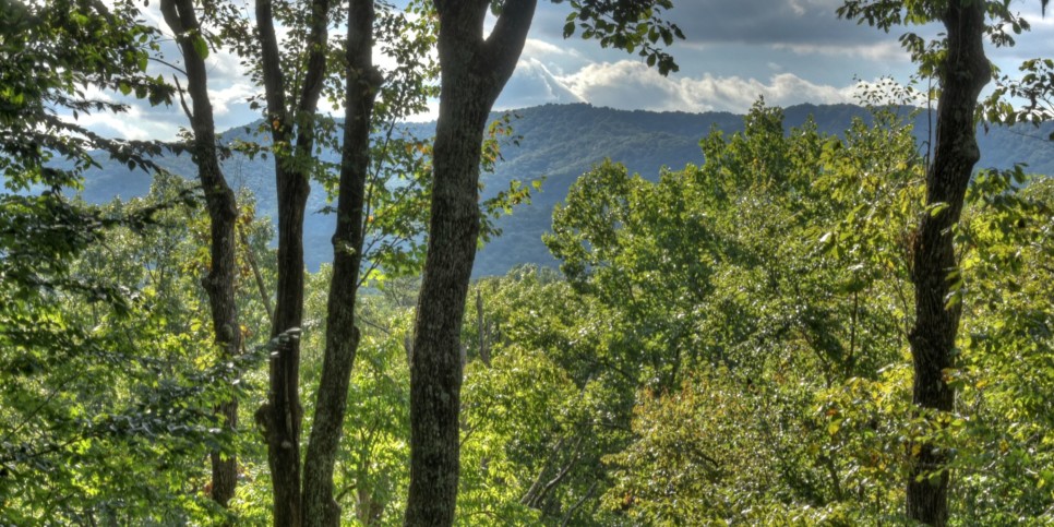 Blue Ridge - Bearfoot Ridge - Exterior