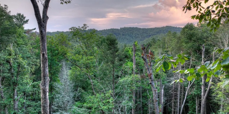 Blue Ridge - River Bend - Temp Exterior