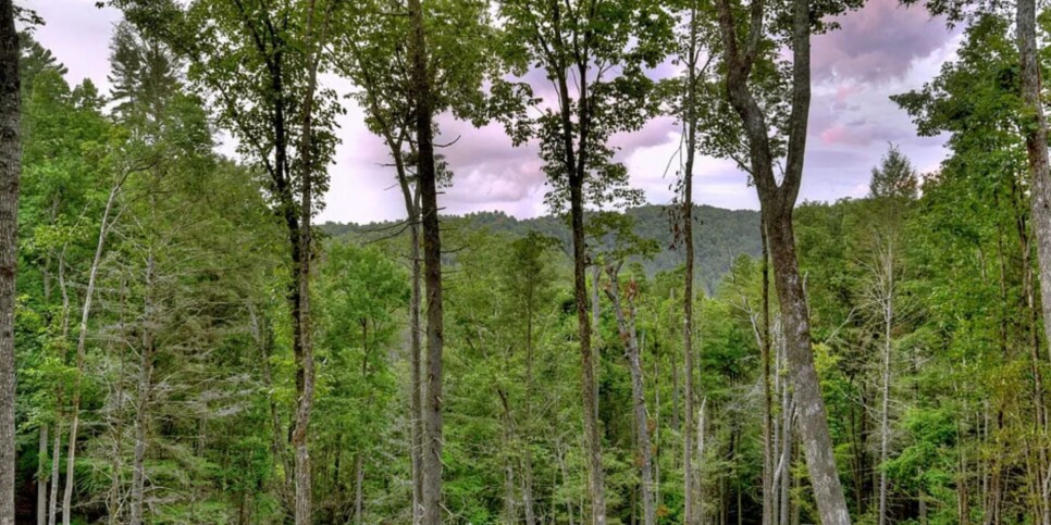 Blue Ridge - River Bend - Temp Exterior