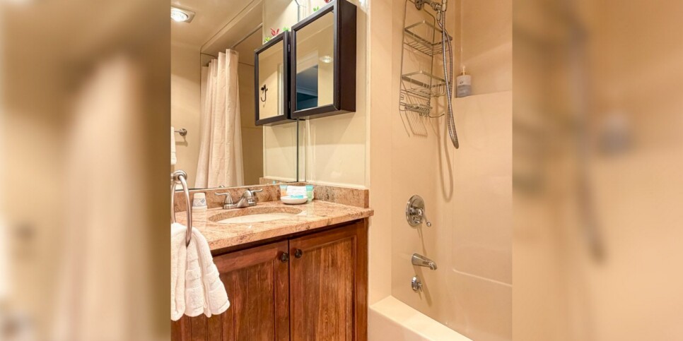 Big Canoe Chalet 141 Bathroom