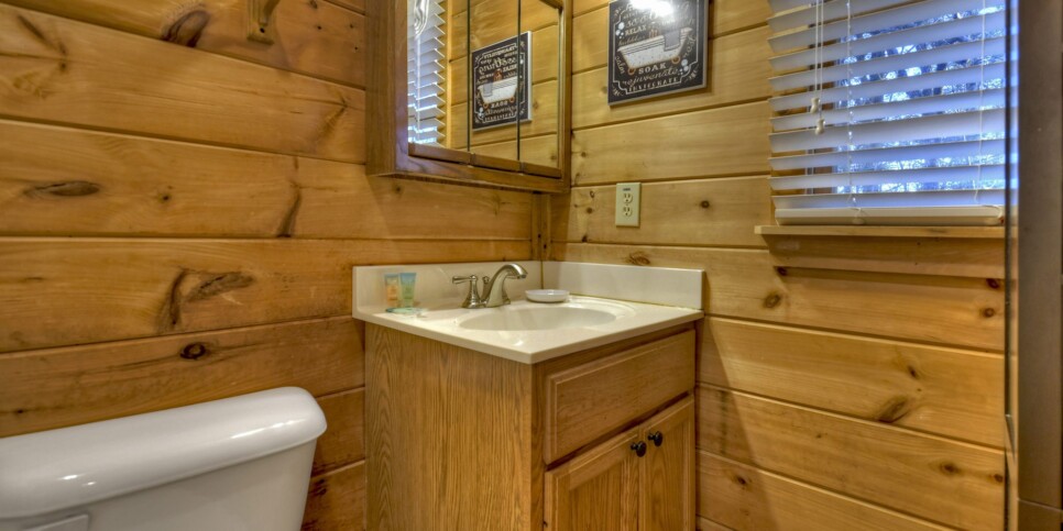 Blue Ridge Cabin - Talking Leaves - Bathroom