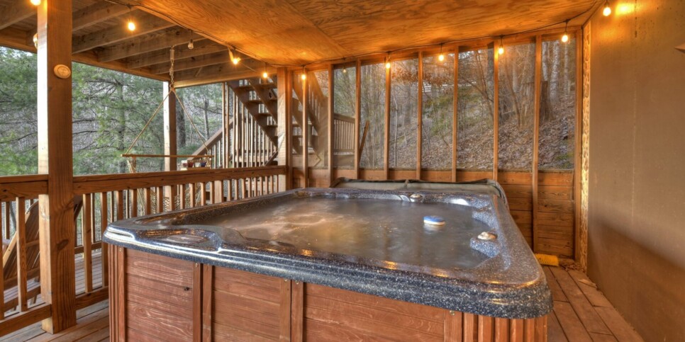 Blue Ridge Cabin - Talking Leaves - Exterior