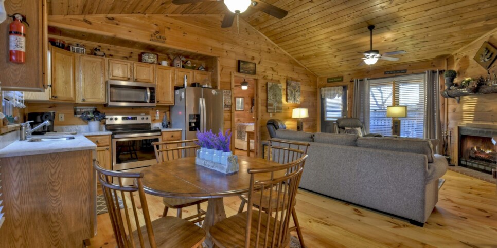 Blue Ridge Cabin - Talking Leaves - Kitchen