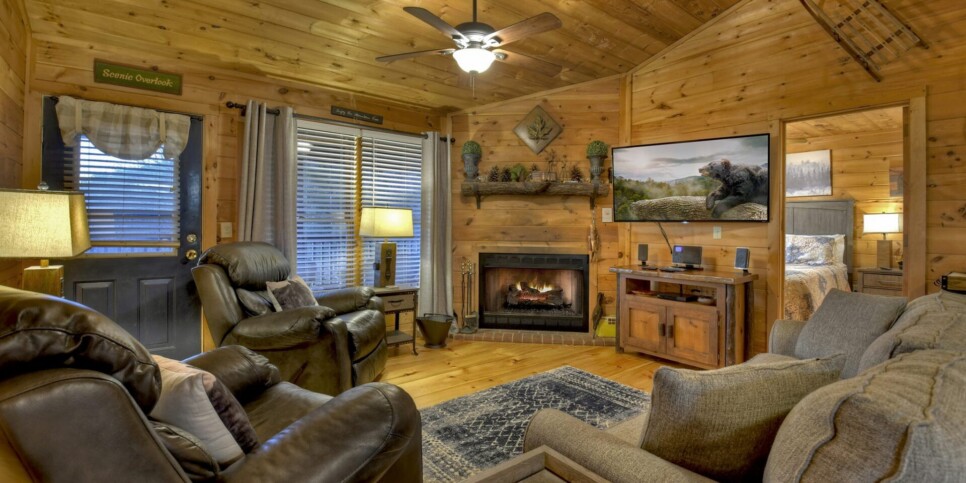 Blue Ridge Cabin - Talking Leaves - Living