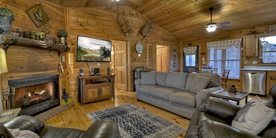 Blue Ridge Cabin - Talking Leaves - Living