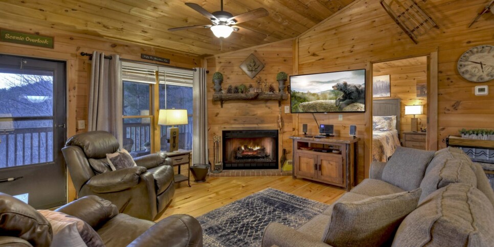 Blue Ridge Cabin - Talking Leaves - Living