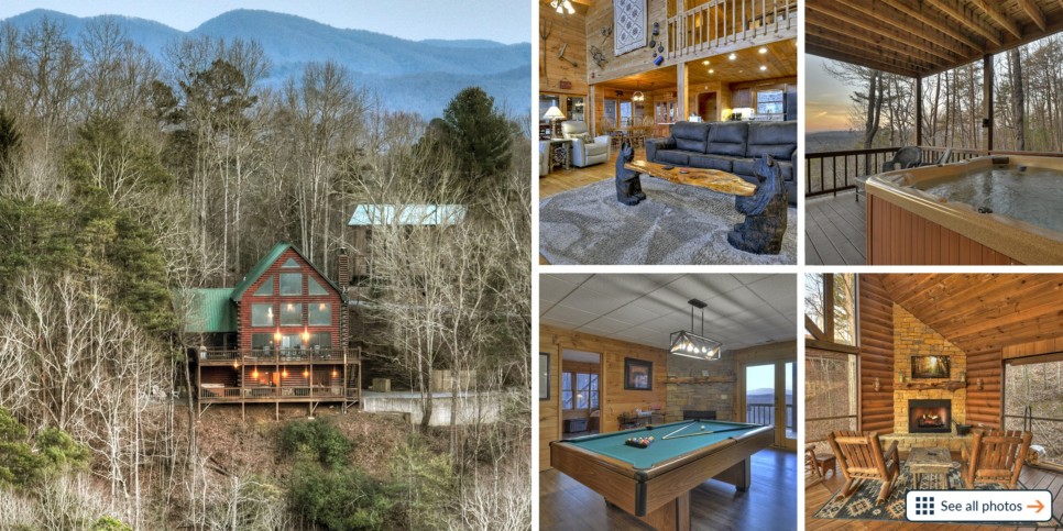 georgia-slide-bear-necessities