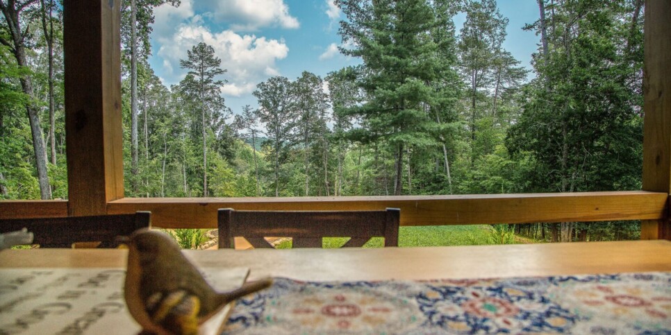 Blue Ridge - Adore the Smores - Exterior