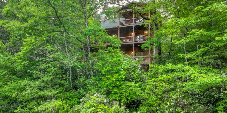 Blue Ridge - The Overlook on Fightingtown - Exterior