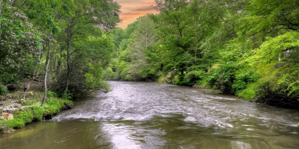 Blue Ridge - The Overlook on Fightingtown - Exterior