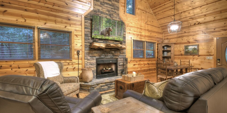 Blue Ridge - The Overlook on Fightingtown - Living Room