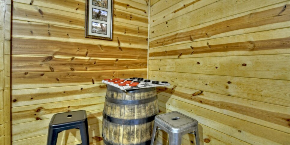 blue-ridge-the-waters-edge-cabin-recreation-2