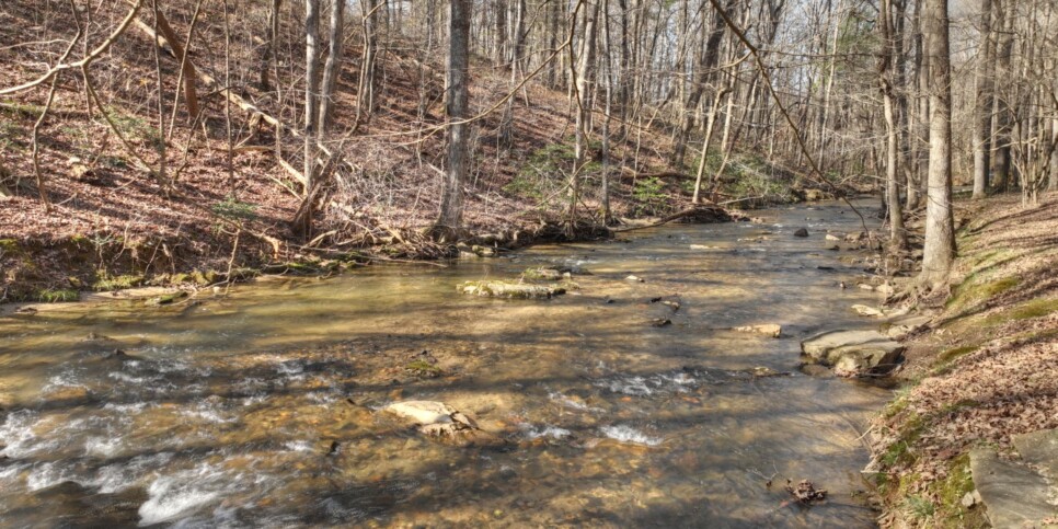 Ellijay - Cozy Creek Cabin - Exterior