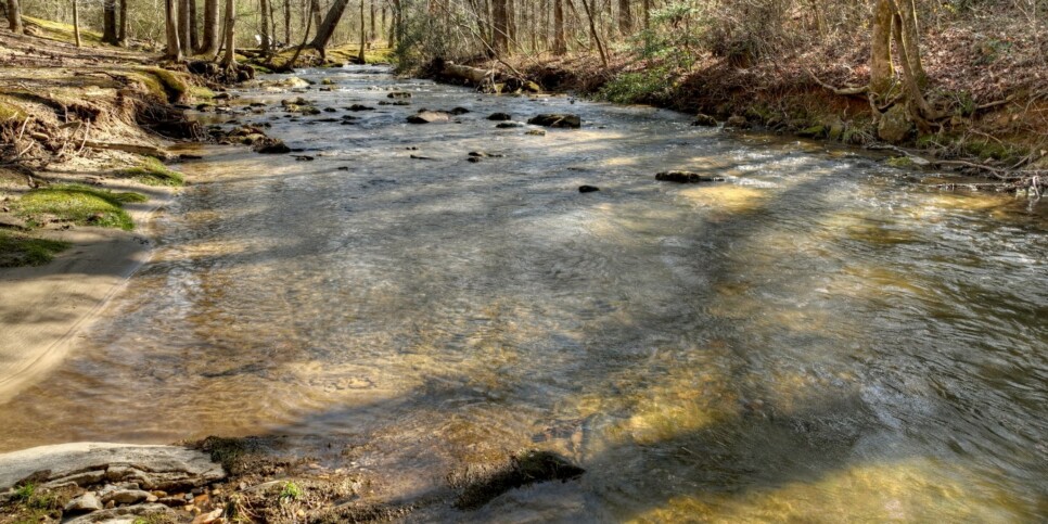 Ellijay - Cozy Creek Cabin - Exterior