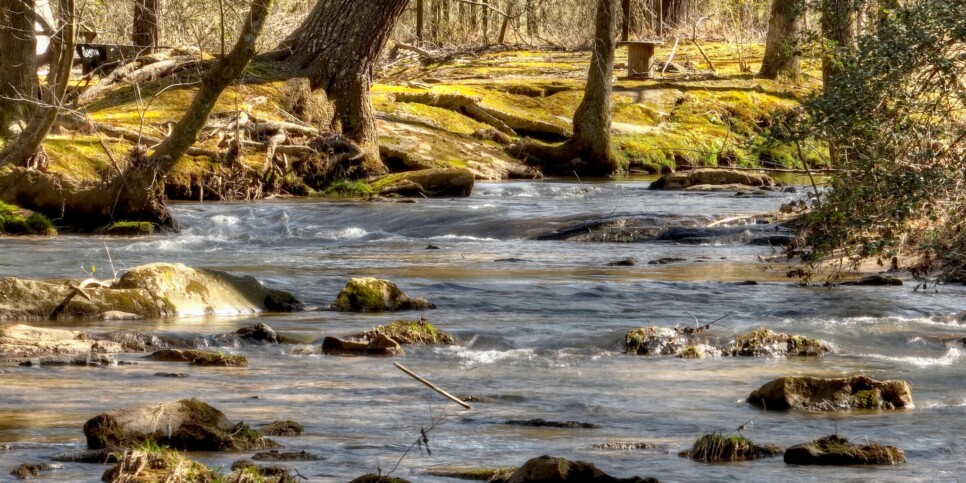Ellijay - Cozy Creek Cabin - Exterior