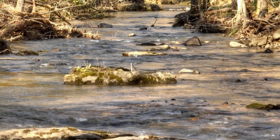 Ellijay - Cozy Creek Cabin - Exterior