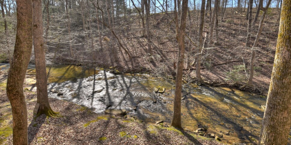 Ellijay - Cozy Creek Cabin - Exterior
