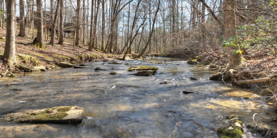 Ellijay - Cozy Creek Cabin - Exterior
