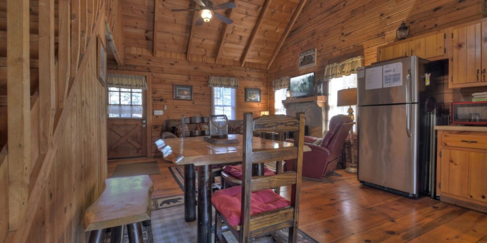 Ellijay - Cozy Creek Cabin - Living Room