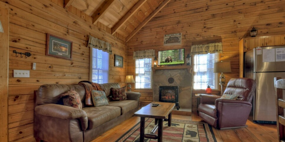 Ellijay - Cozy Creek Cabin - Living Room