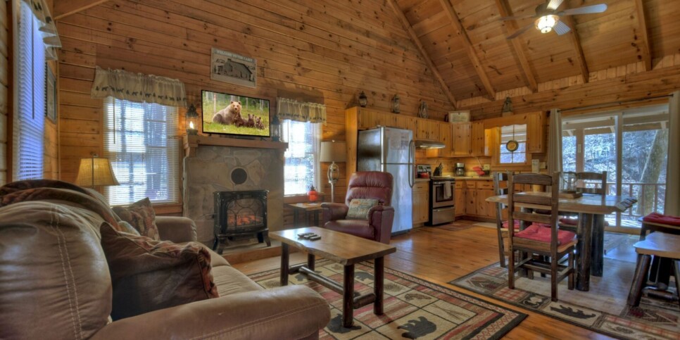Ellijay - Cozy Creek Cabin - Living Room
