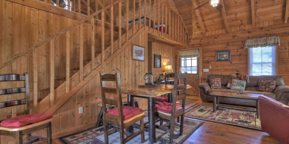 Ellijay - Cozy Creek Cabin - Living Room