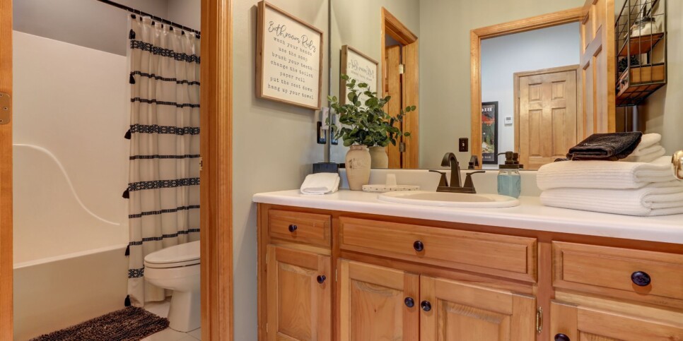 Big Canoe - Wanderer's Den - Bathroom