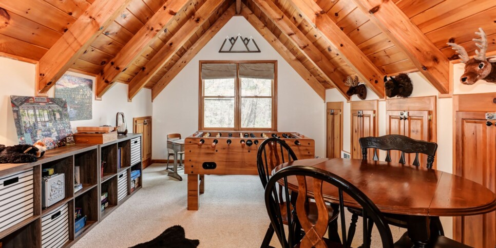 Big Canoe - Wanderer's Den - Living Rec