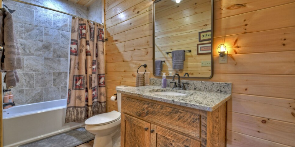 Mineral Bluff - Rohring Retreat - Bathroom