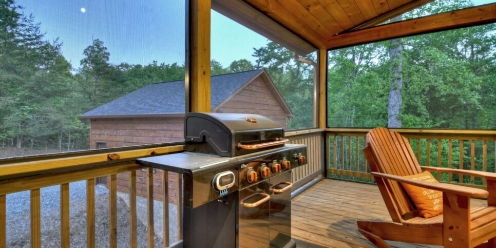 Mineral Bluff - Rohring Retreat - Exterior