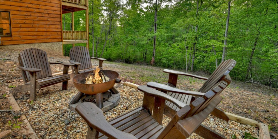 Mineral Bluff - Rohring Retreat - Exterior