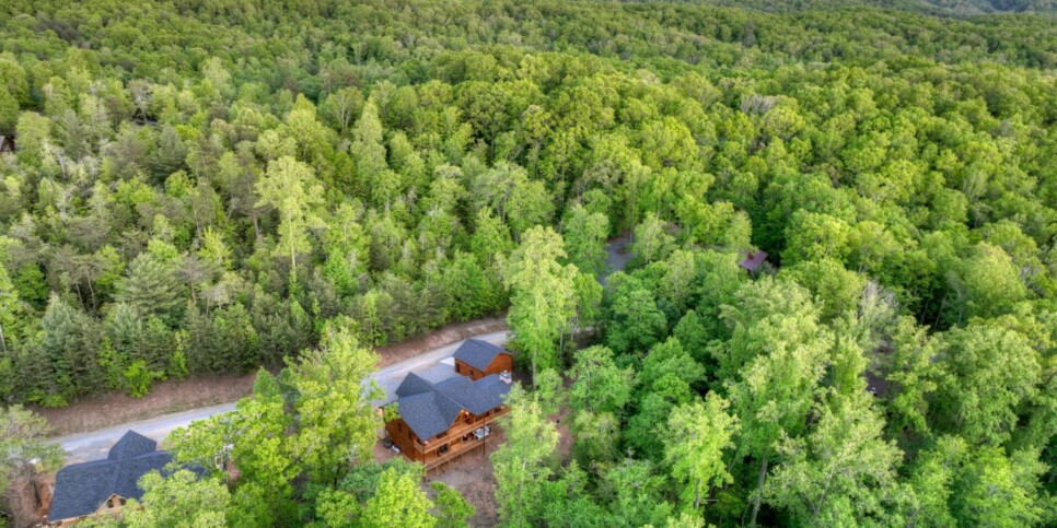 Mineral Bluff - Rohring Retreat - Exterior