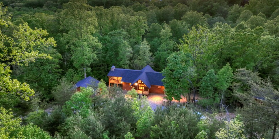 Mineral Bluff - Rohring Retreat - Exterior