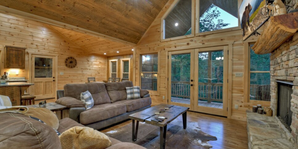 Mineral Bluff - Rohring Retreat - Living Room