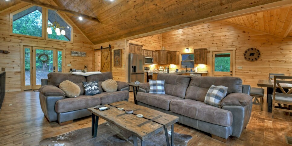 Mineral Bluff - Rohring Retreat - Living Room