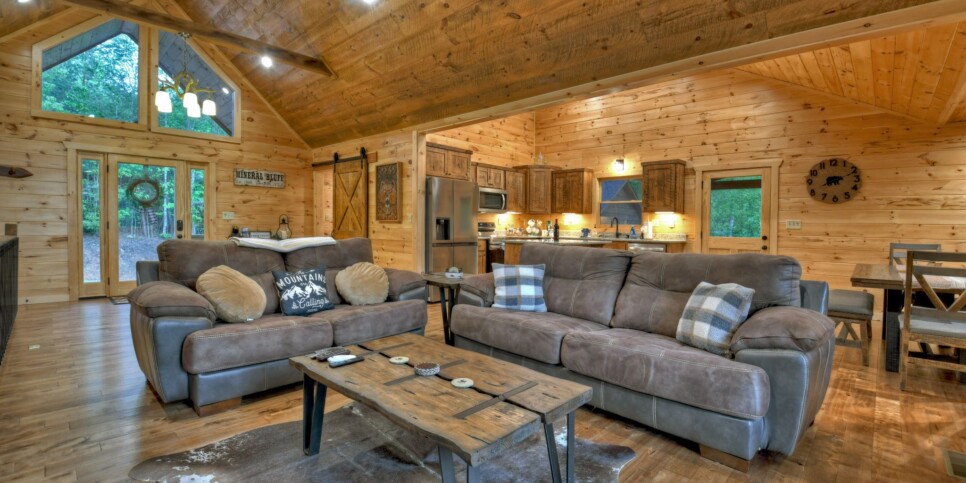 Mineral Bluff - Rohring Retreat - Living Room