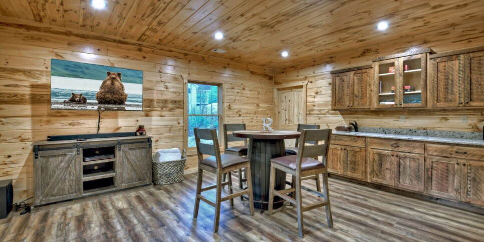 Mineral Bluff - Rohring Retreat - Rec Room