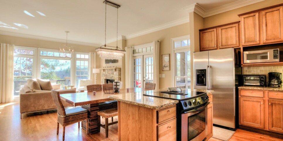 Big Canoe - Camp Paws - Kitchen