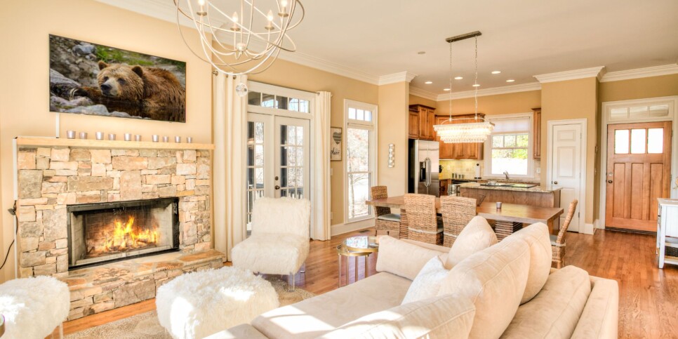 Big Canoe - Camp Paws - Living