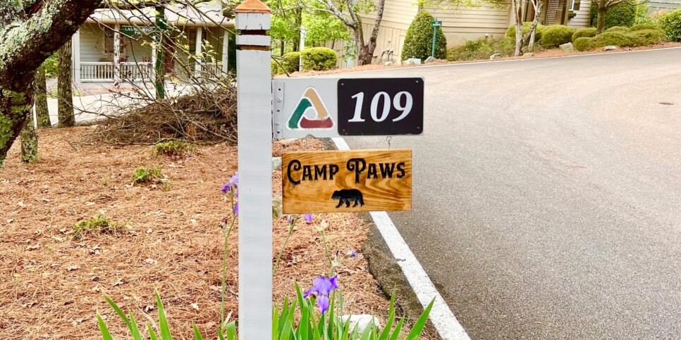 Big Canoe - Camp Paws - Exterior