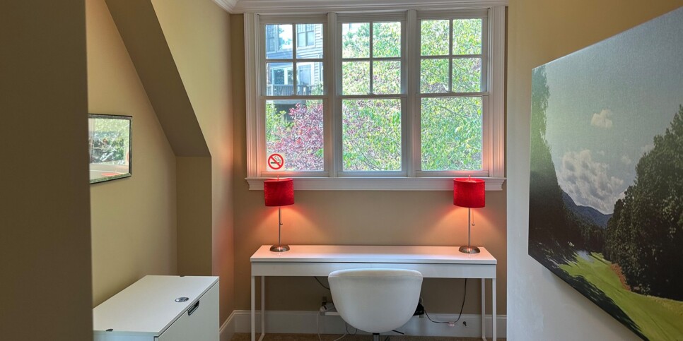 Big Canoe - Camp Paws - Home Office