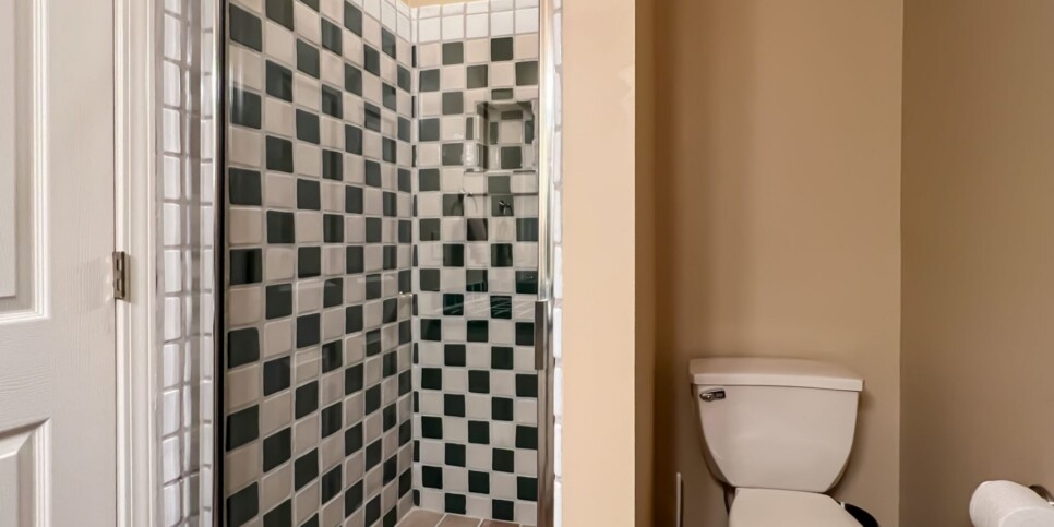 Big Canoe - Chasing Chipmunks - Bathroom