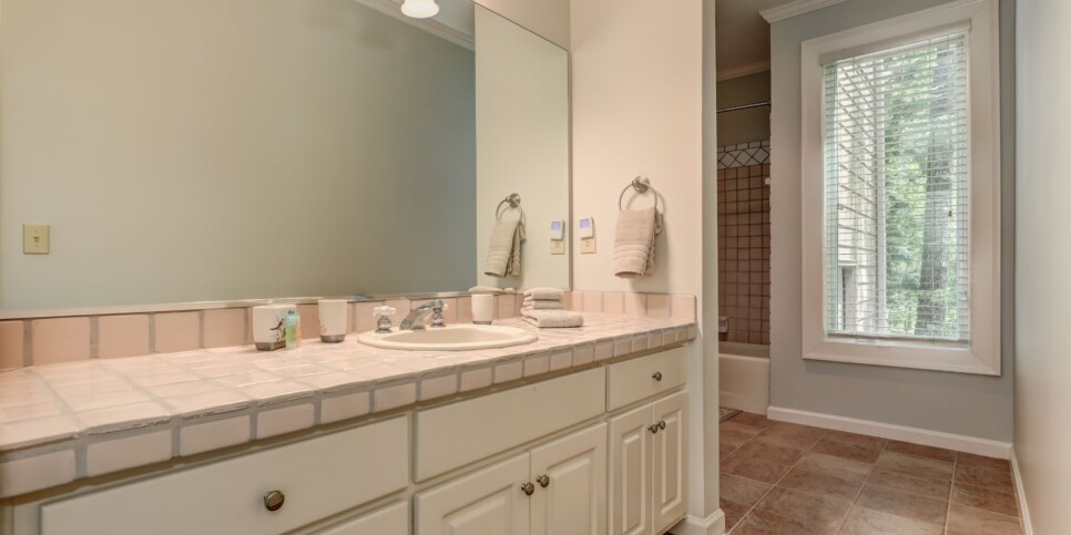 Big Canoe - Chasing Chipmunks - Bathroom