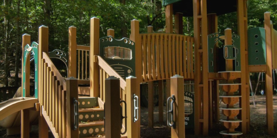 Big Canoe - Chasing Chipmunks - Community Amenities