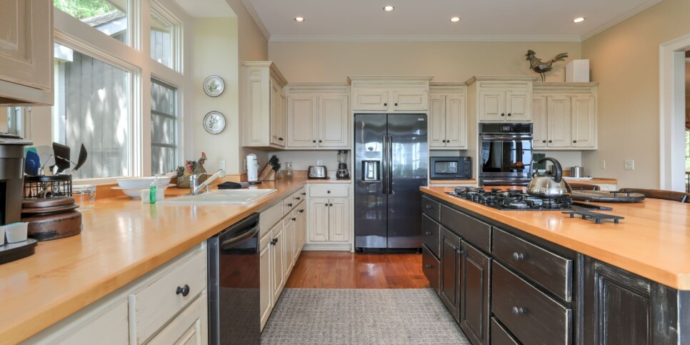 Big Canoe - Chasing Chipmunks - Kitchen